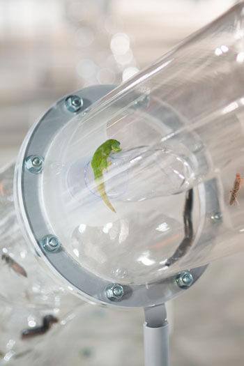 Nuit Blanche 2013, Carreau du Temple, Paris Huang Yong Ping Ceinture