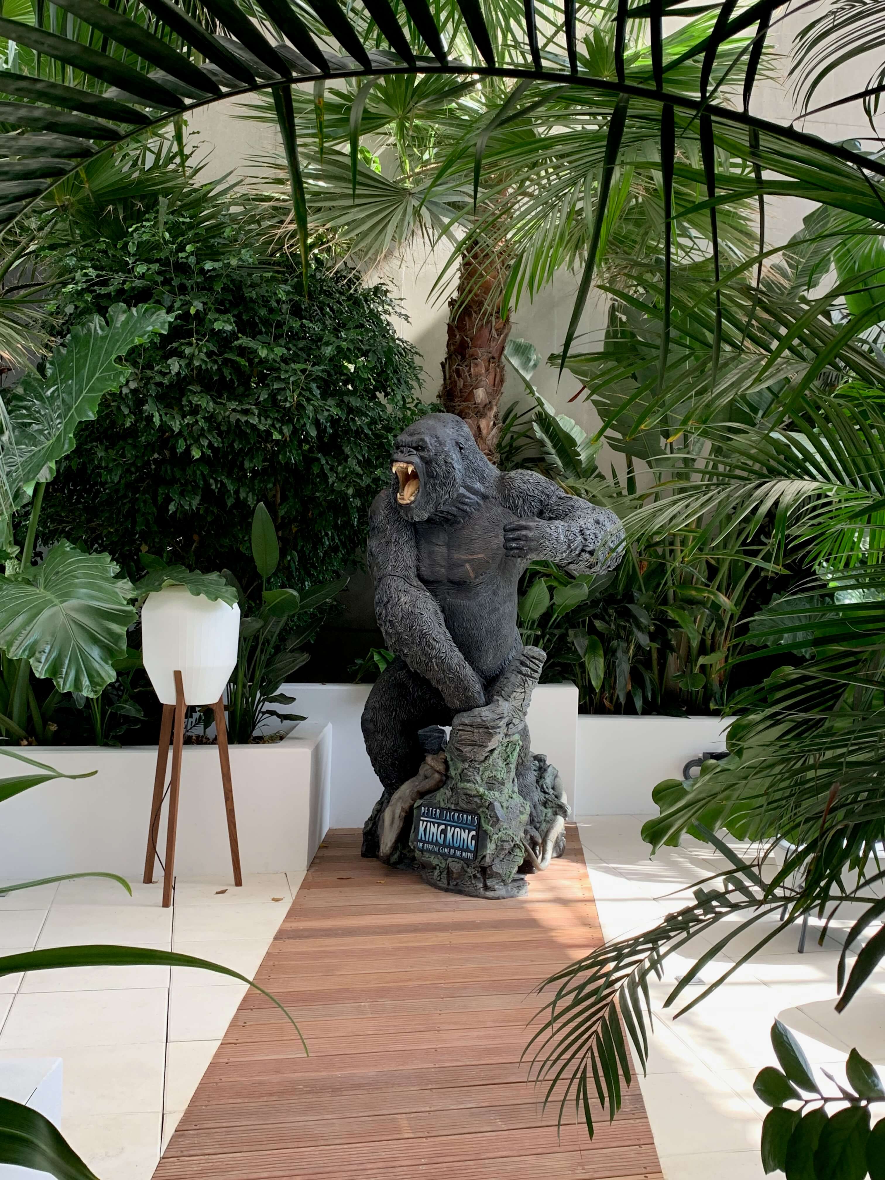 Ubisoft King Kong Montpellier