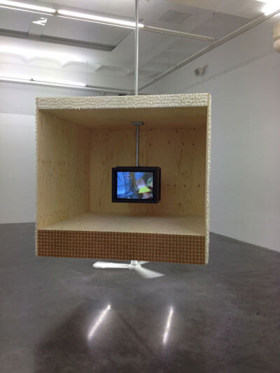 Mika Rottenberg Marry's Cherries FRAC Languedoc, Montpellier