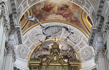 Memento Marengo, Pascal Convert