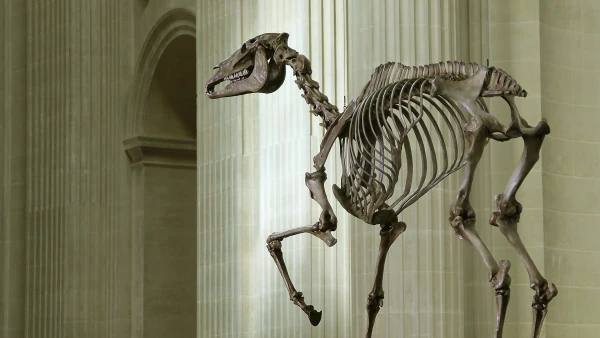 Projet #8 CHD ART MAKER