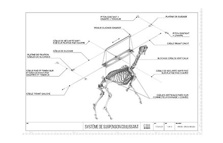 Memento Marengo, Pascal Convert