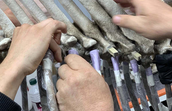 Memento Marengo, Pascal Convert