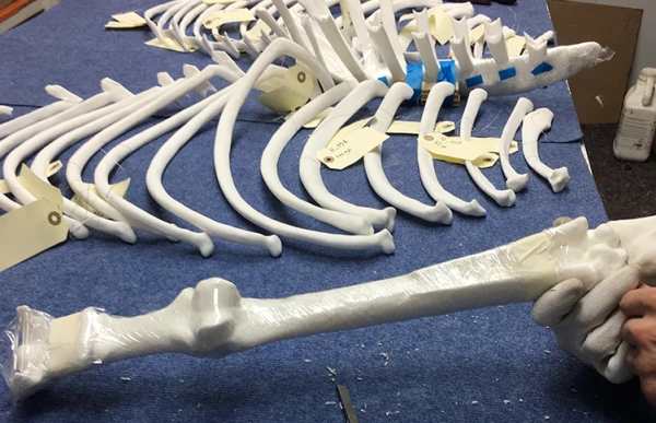 Memento Marengo, Pascal Convert