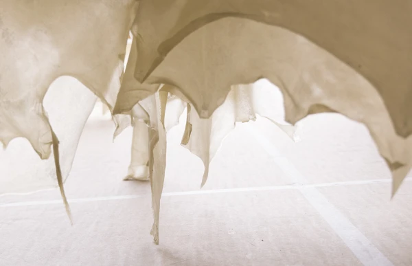 Mobilier cuir translucide, Studio Anne Holtrop