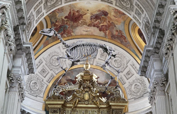 Memento Marengo, Pascal Convert