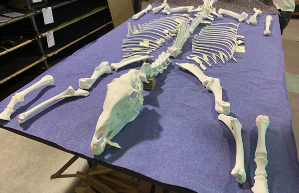 Memento Marengo, Pascal Convert