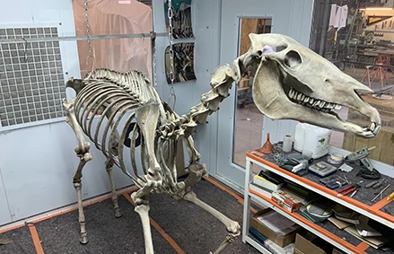 Memento Marengo, Pascal Convert