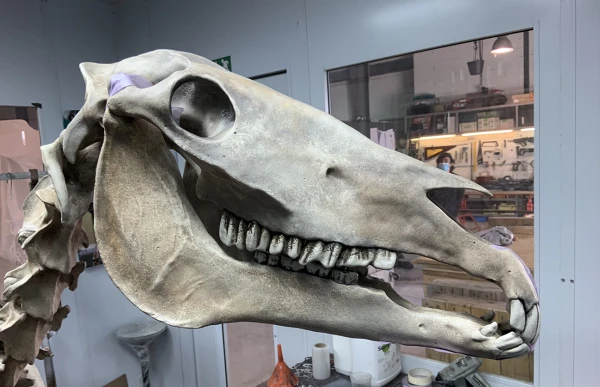 Memento Marengo, Pascal Convert